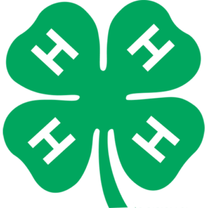 4-H Clover