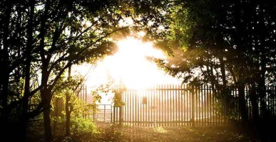 Cool Metal Roofing reflects heat and the sun's rays