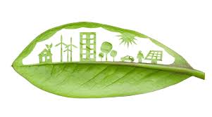 Green Skyline in Pod